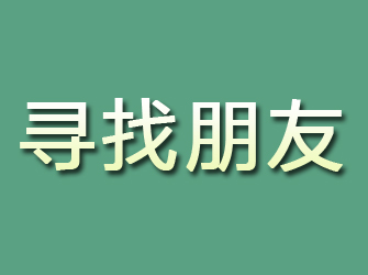 宝塔寻找朋友